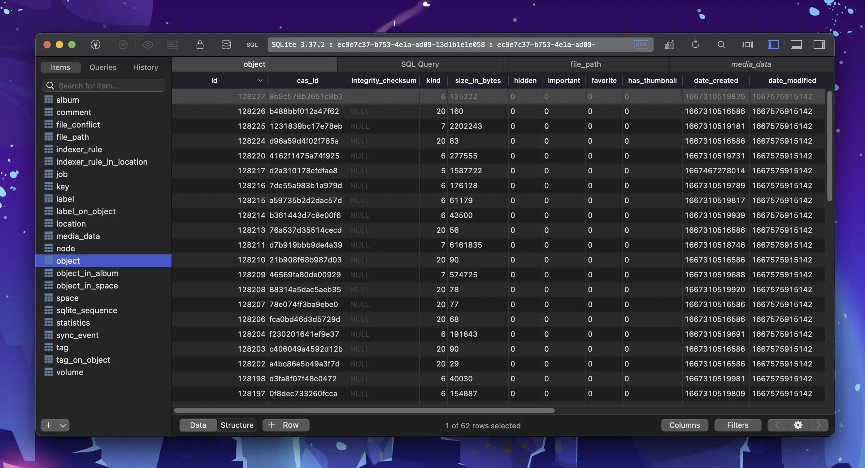 A Spacedrive library database file open in Table Plus